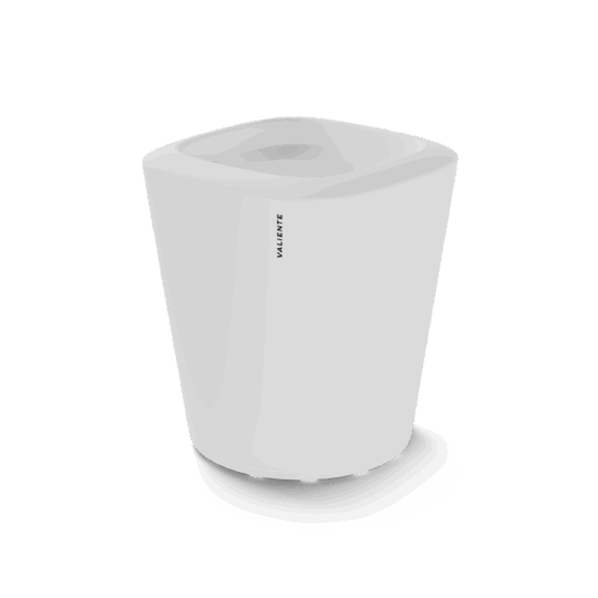 FLOWERPOT ORCHID KLEIN