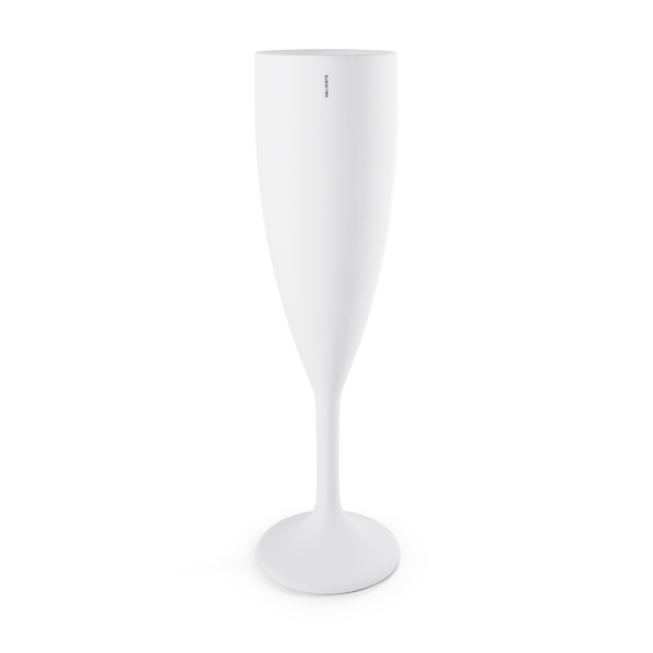 SET CHAMPAGNE GLAS - 6 ST
